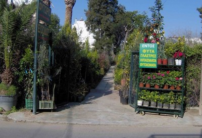 gallery/eisodos-agiou-dimitriou - 7